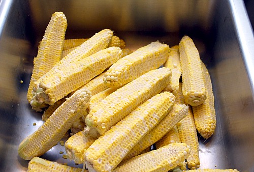 Image result for corn cob image